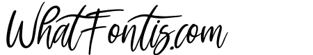 Holidays Italic