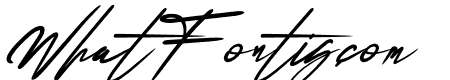 Reillytta Sheilabe Italic