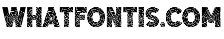 Halloween Cobwebs