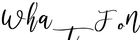 Mollusca Script Italic