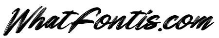 Black Raint Italic