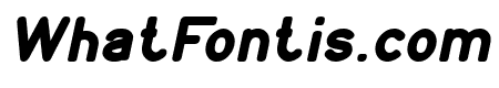 Young forever Bold Italic