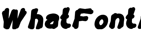 TORTOISE Bold Italic
