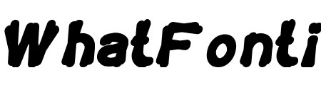 TORTOISE Italic