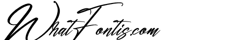 Amsterdam Billionaire Italic