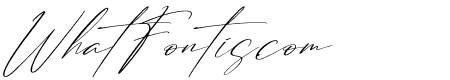 Strongela Delmonte Italic