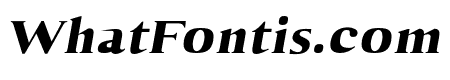 Aaron-BlackItalic