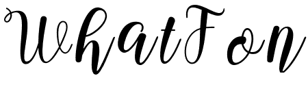 BongidentScript
