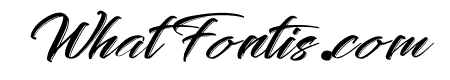Creative Signature Italic