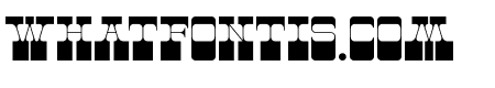 Tomman-Bold