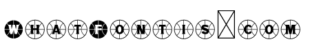 NN Basketball
