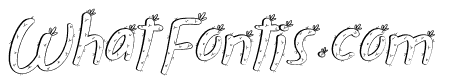 Nurse Plants Italic