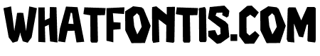 Acute Bold