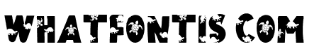 THE TURTLE
