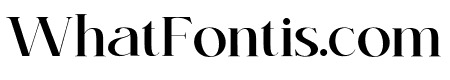 KENOKY Medium
