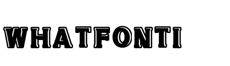 NN Vintage2