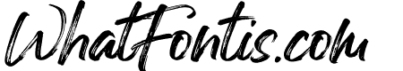 Noctura Georgia Brush