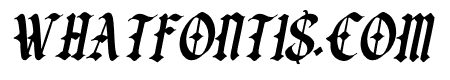 TheCrookus-Italic