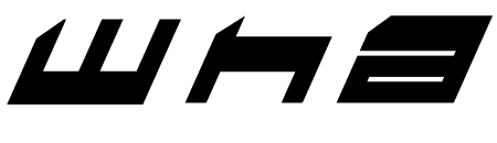 ELANGINT