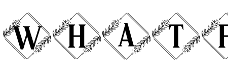 Vierasti Monogram