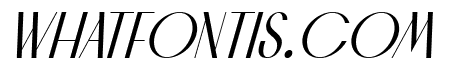 CHAMAN ELEGANT FONT Italic