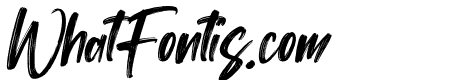 Washington Lifestyle Italic