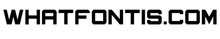 Newsport